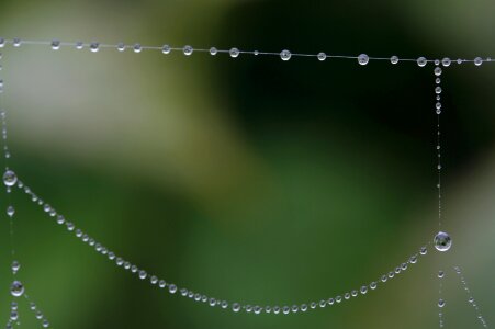 Moist morgentau dewdrop