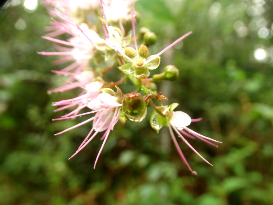 DSC00151 flickr