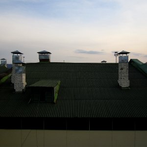 Roof sentinels photo
