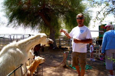 The Goat Whisperer