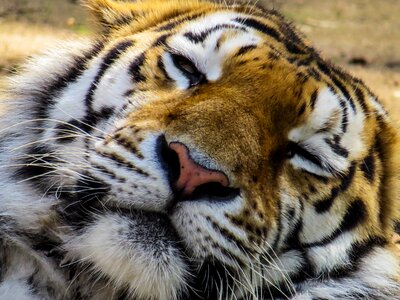 Close up eyes tired