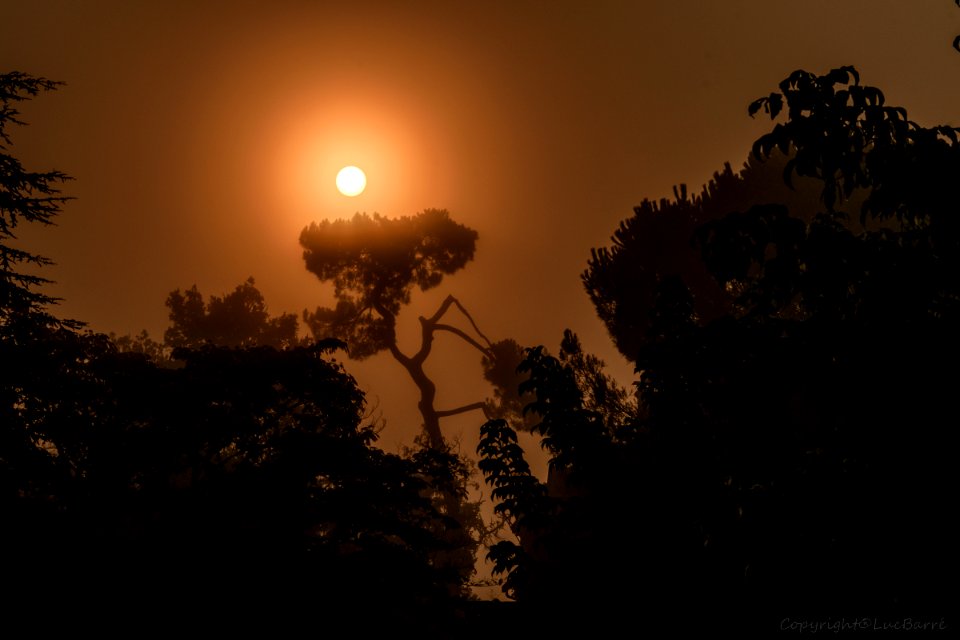 Levée de soleil dans la brume 4047 photo