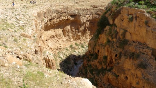 1300 Wadi al-Qilt (39) photo