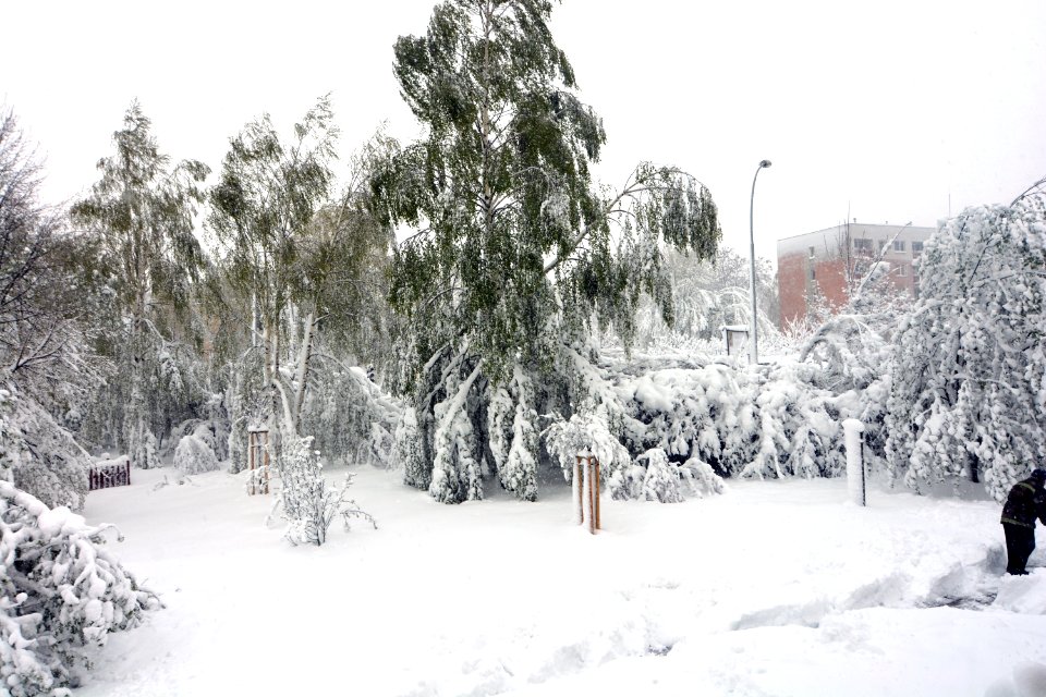 Poland Czestochowa 19.04.2017 (spring)
