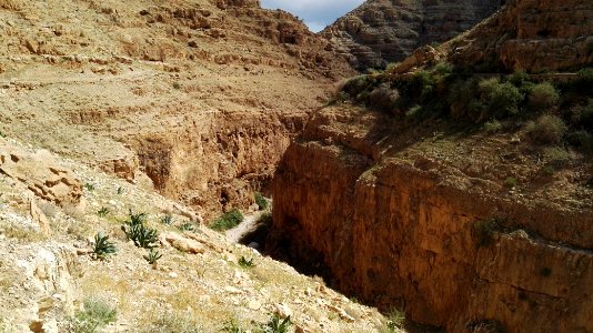1319 Wadi al-Qilt photo