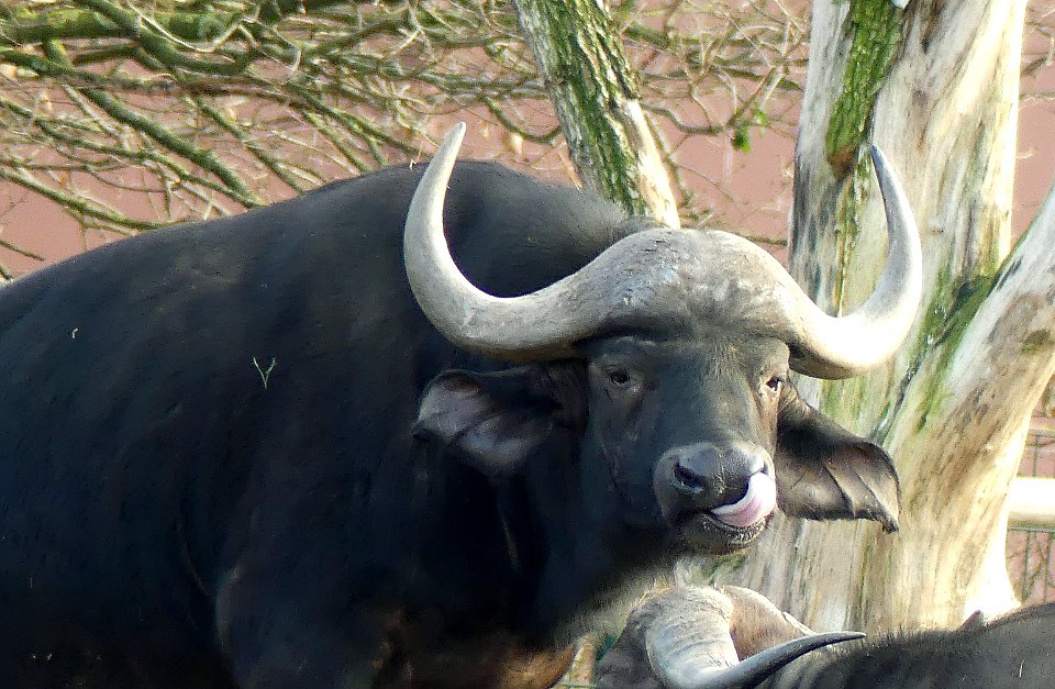 ik mag er zijn in de Beekse bergen
