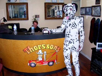 Dalmatian at Glenn's shop.