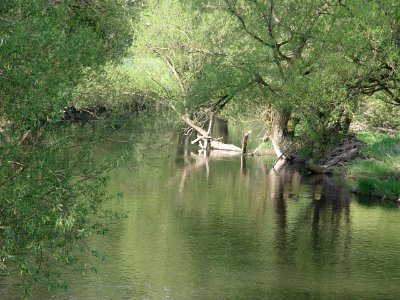 2015-05-02 Fränkische Saale bei Diebach photo