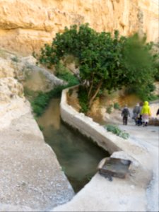 1180 Wadi al-Qilt (15)