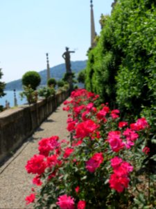 Isola bella e isola pescatori