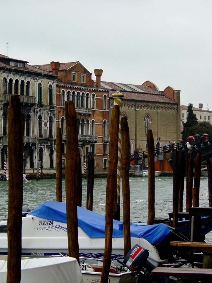 150 - Ponte dell'Accademia