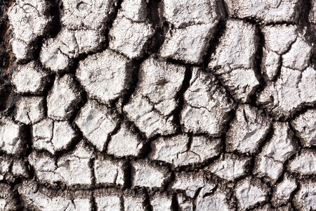 Background texture pattern