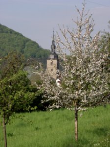 2015-05-02 Kirchturm in Diebach photo