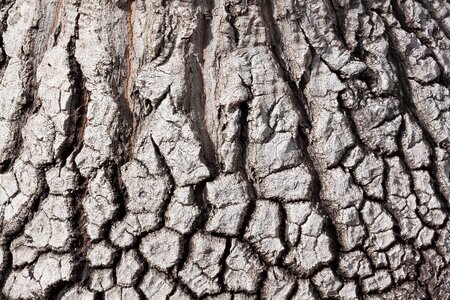 Background texture pattern