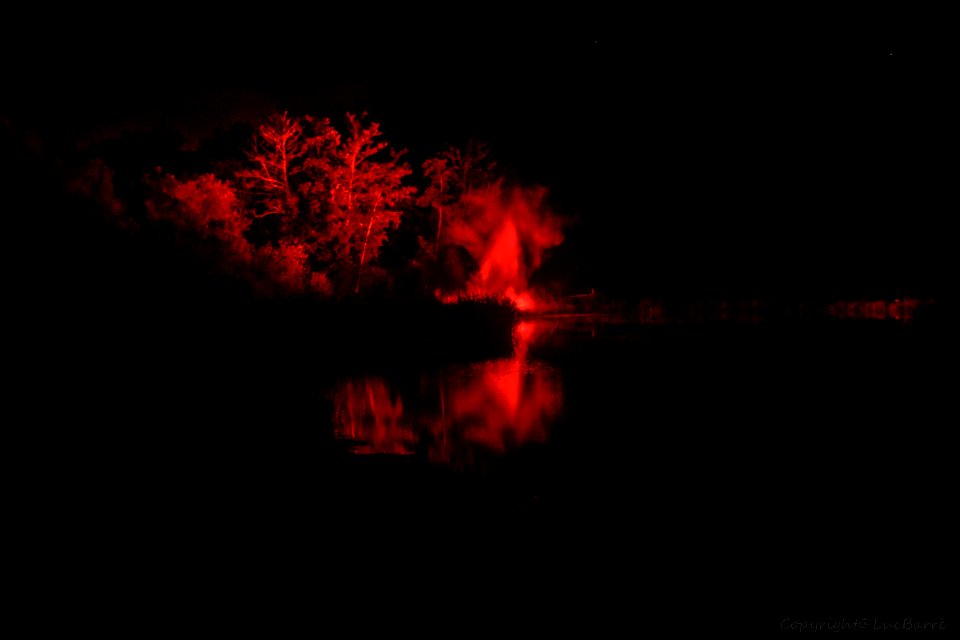 Feux d'articices 2202