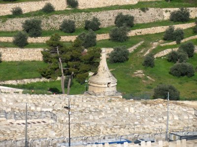 1545 Dal monte degli Ulivi (8)
