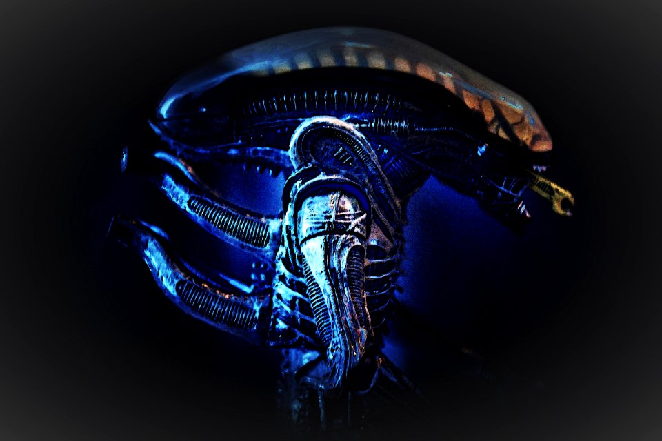 -Xenomorph- photo