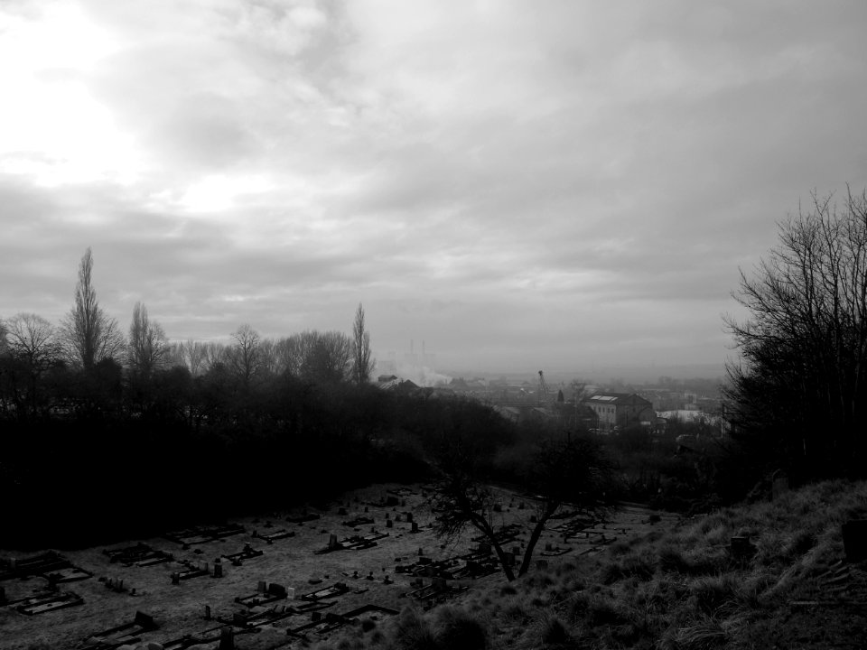 Into The Valley.
