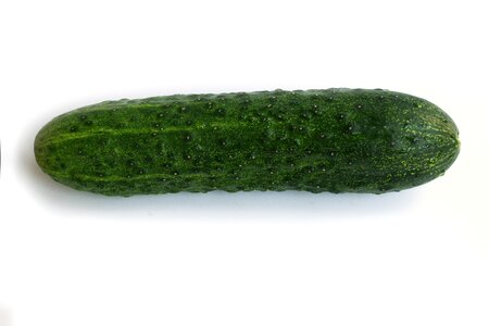 Long fresh vitamin