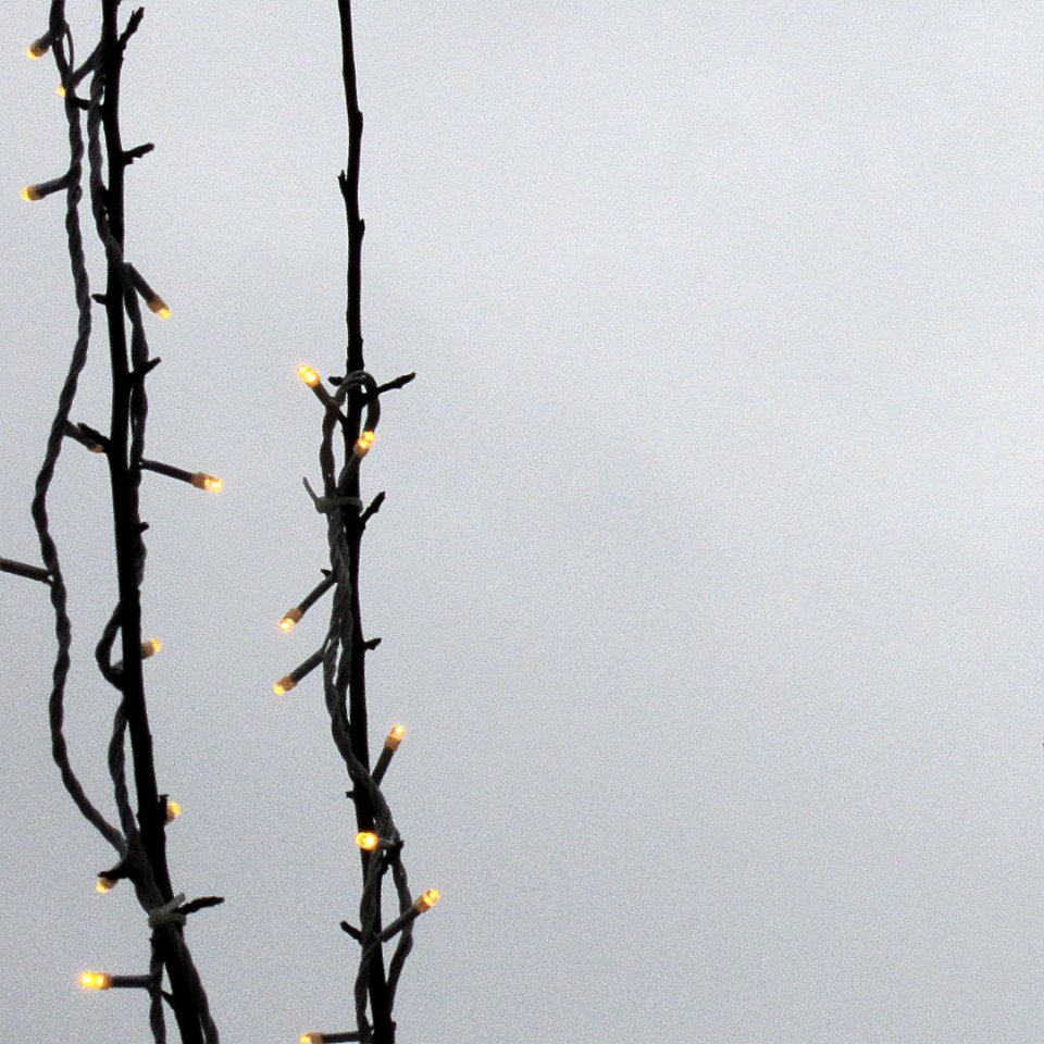 In the spring, garlands bloom in the trees