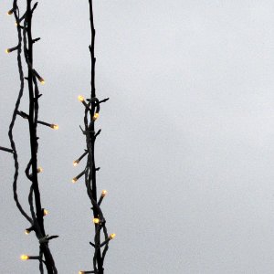 In the spring, garlands bloom in the trees