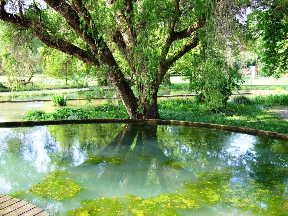 Lake park nature