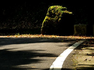 Curb Stone