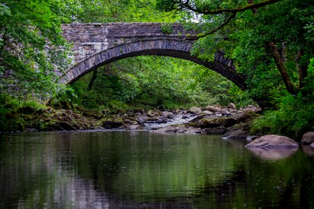 Reflection green landscape green bridge photo