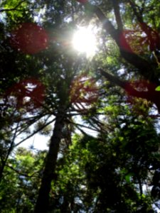 DSC00639 flickr