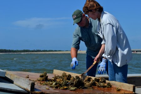 Apalachicola Oyster Workday