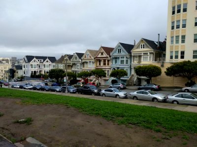 The Painted Ladies