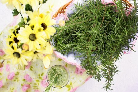 Healthy spices and herbs cooking
