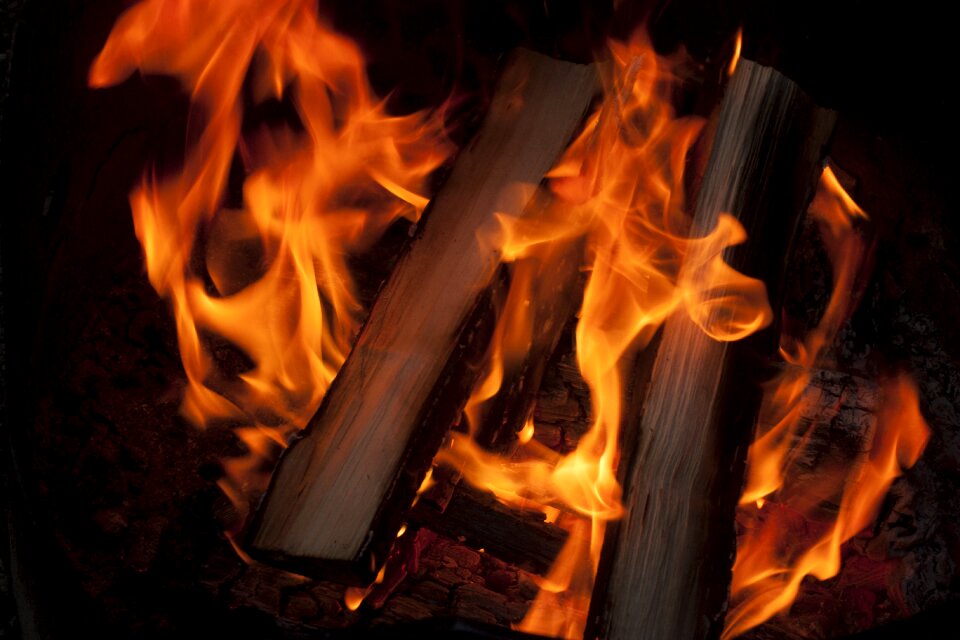 Camping nature campfire