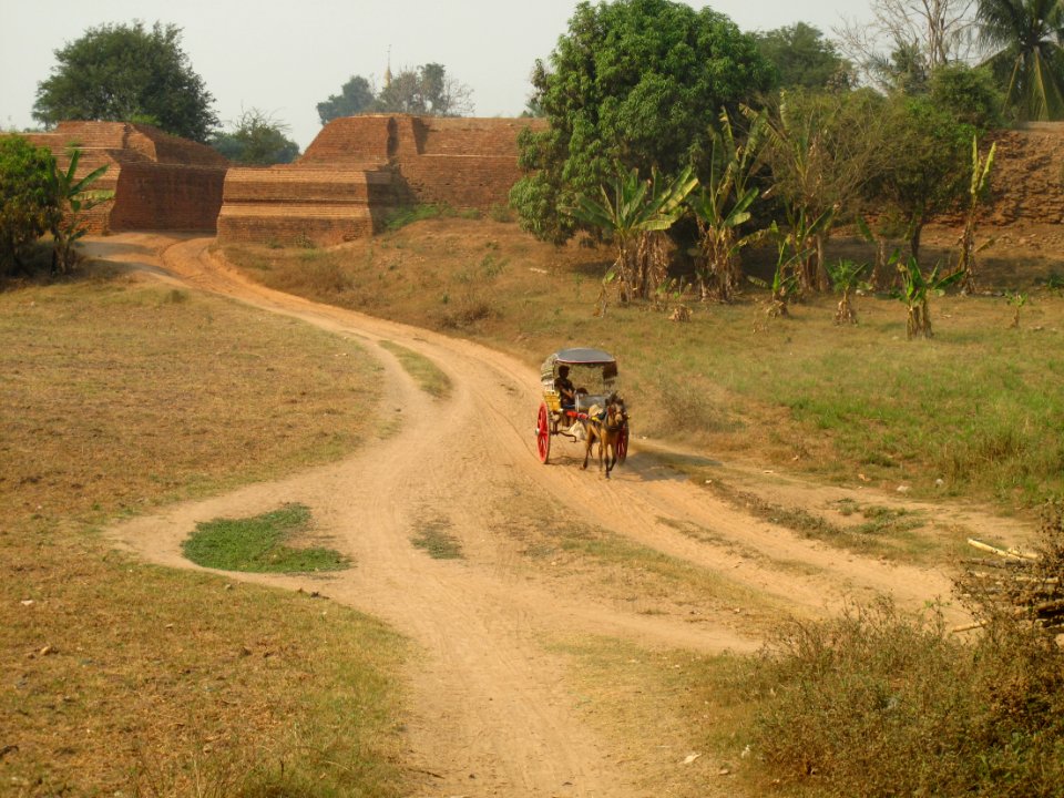 Escaping a Horse & Cart
