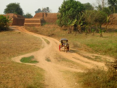 Escaping a Horse & Cart photo