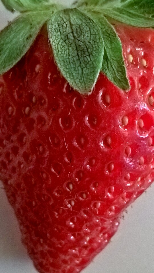 Tasty healthy red