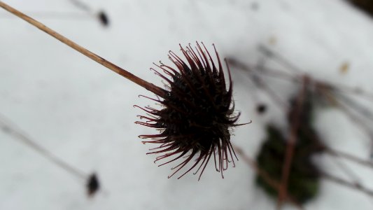 2015-02-27 16.18.26