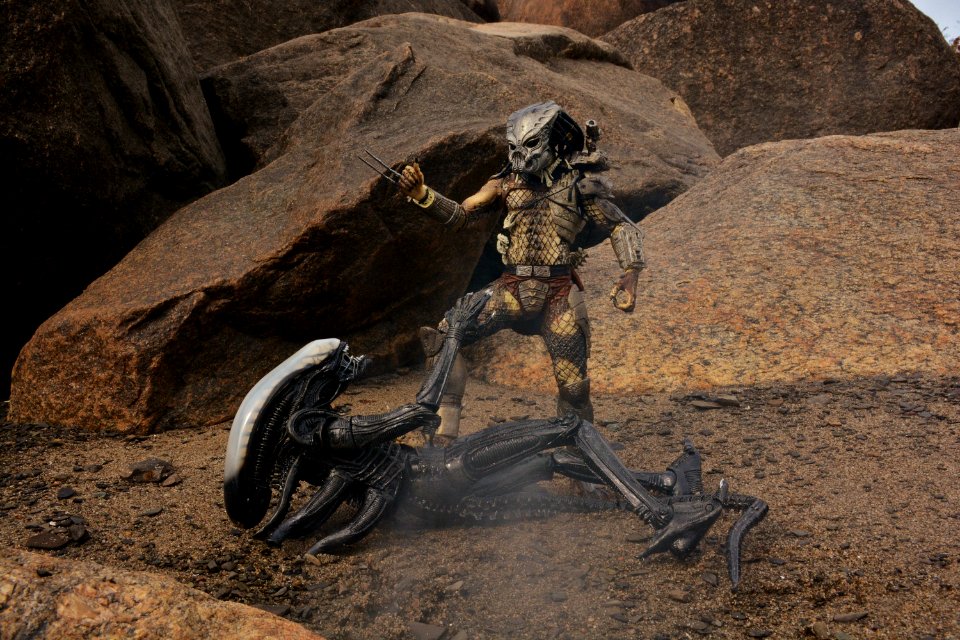 -The prey and the hunter-