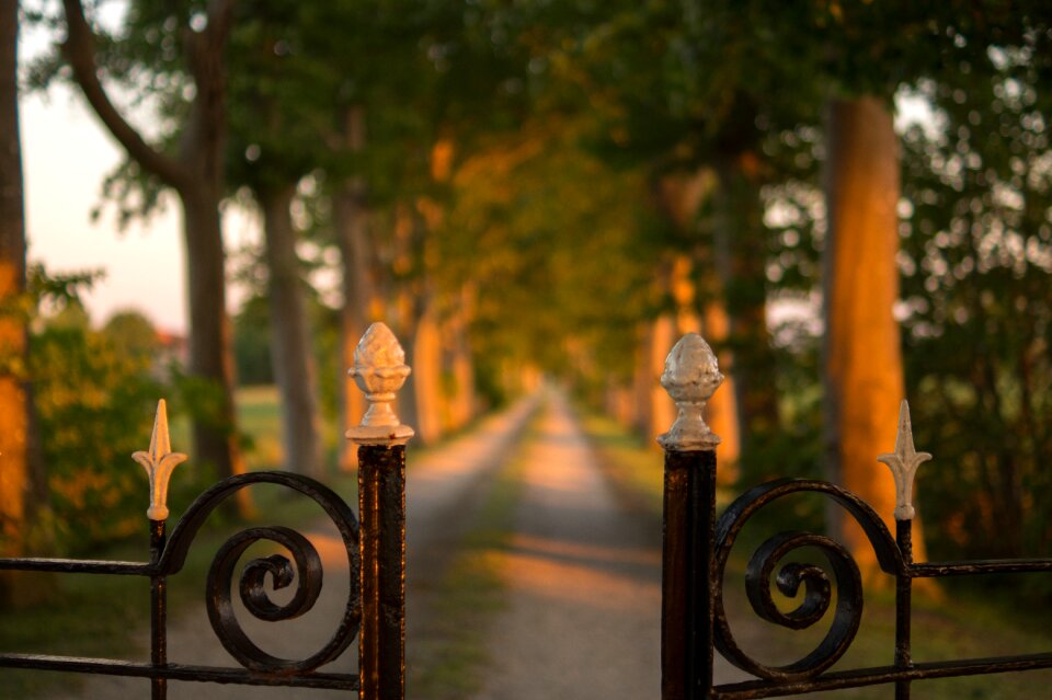 Countryside rural lane