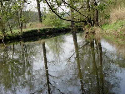 2015-05-02 Fränkische Saale bei Diebach photo