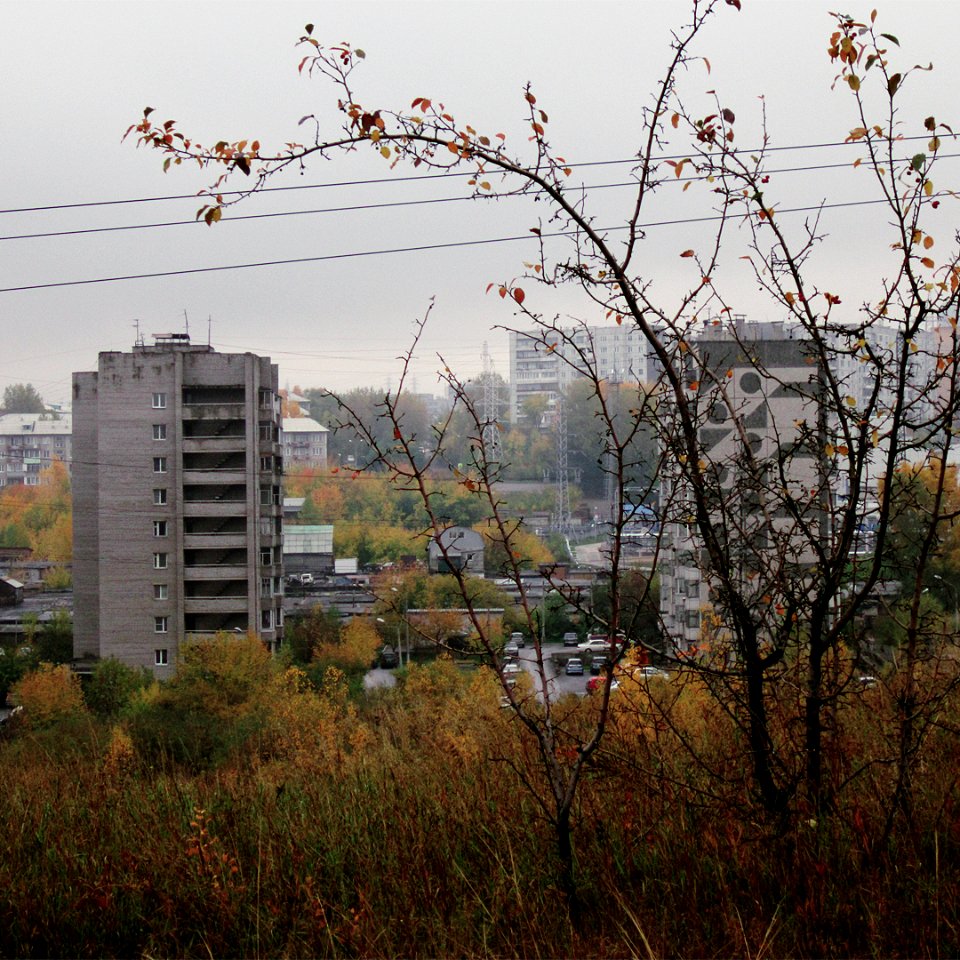 Who will weep for what we've lost, glaciers melted, permafrost