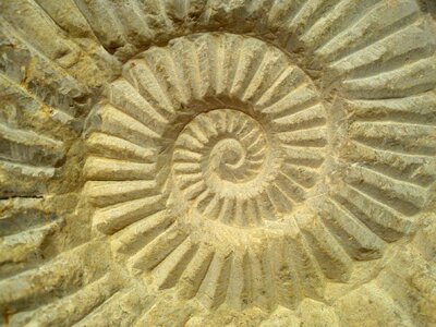 Relief carved geometry