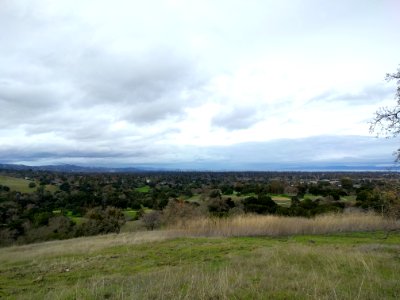 Palo Alto Hills