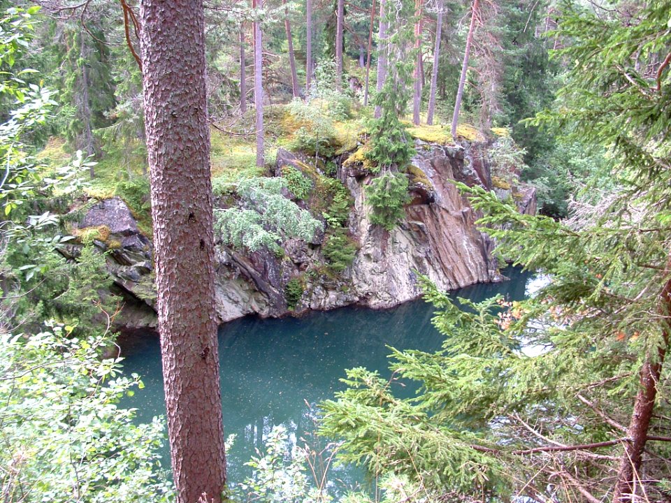 Wasser im Wald Schweden 1