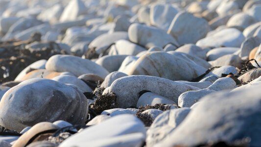 Coast nature outdoor