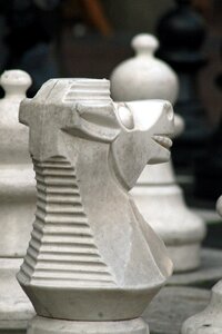 Pawn chessboard horse