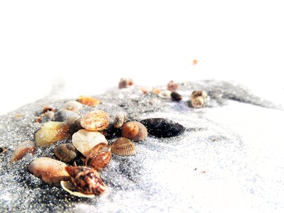 Sand small cute