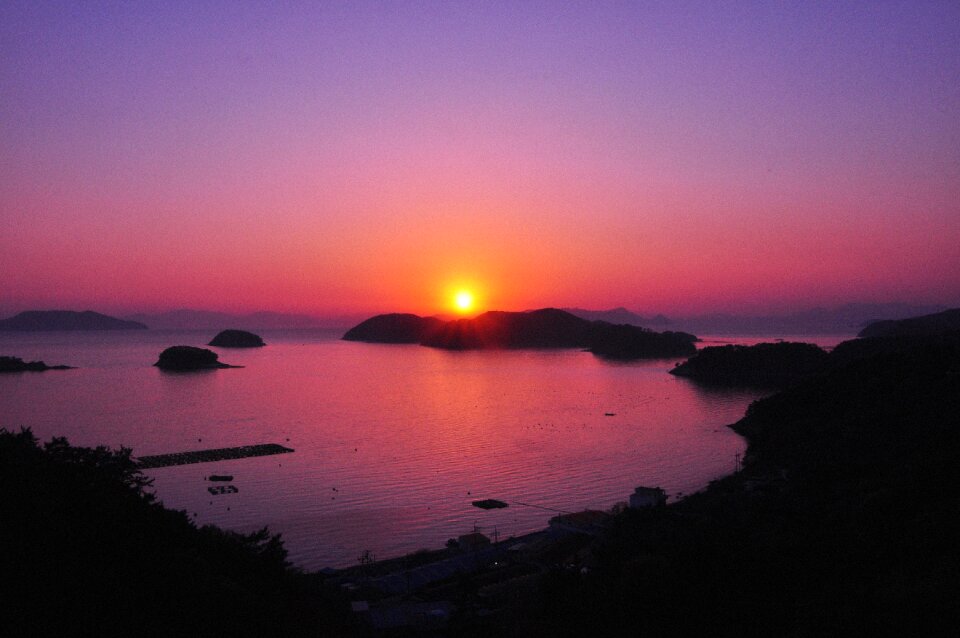 Violet pink scene