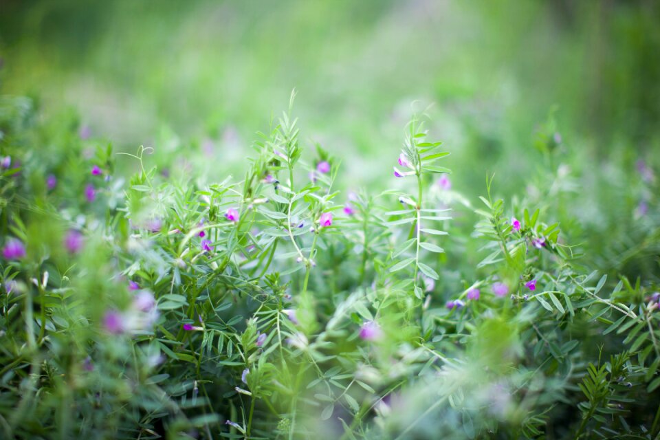 Factory nature background