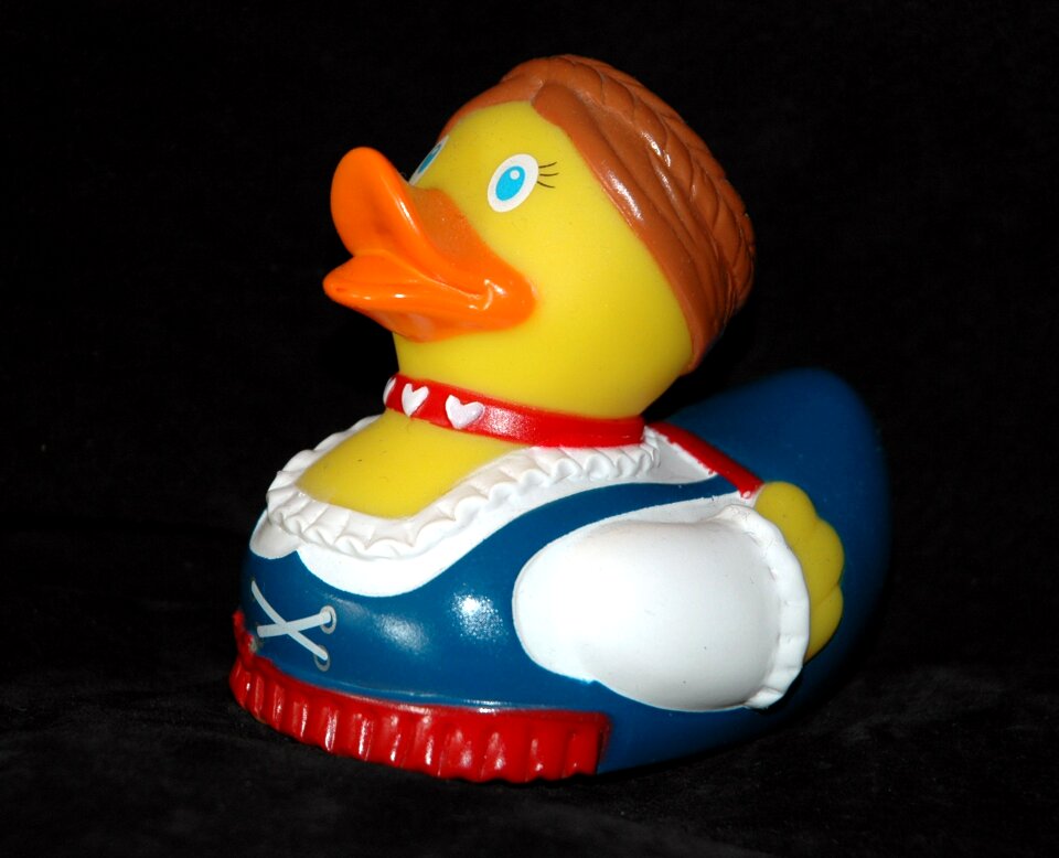 Duck bavaria costume